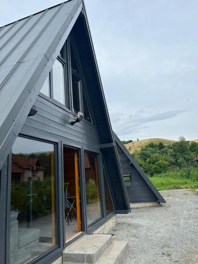 Little House Bologa